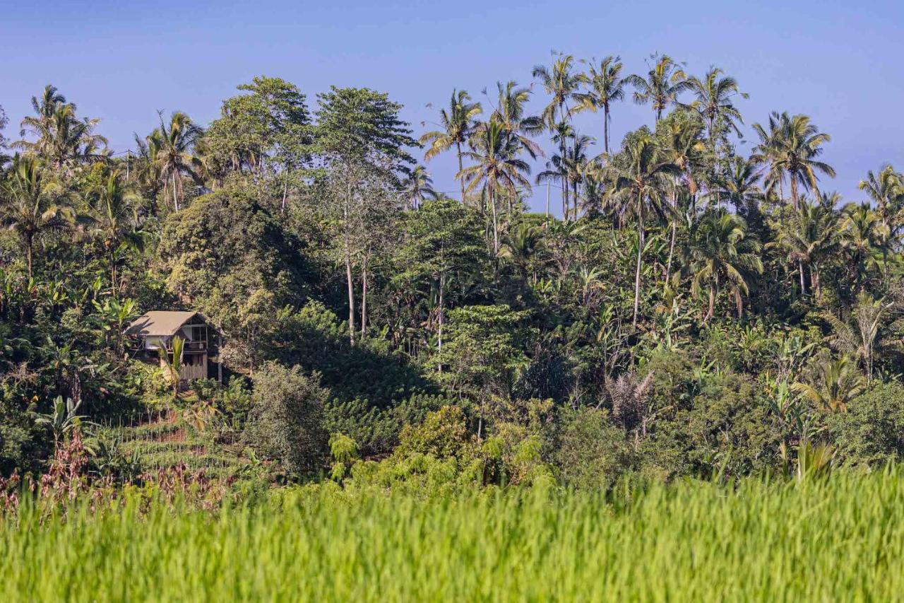 Sanda Plantation Hideaway Kültér fotó